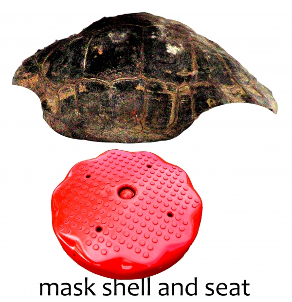 Creation of Turtle Beetle w/Pink Interior: Step 4